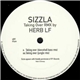 Sizzla - Taking Over (Remixes)